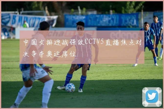 中国女排迎战强敌CCTV5直播焦点对决争夺奥运席位