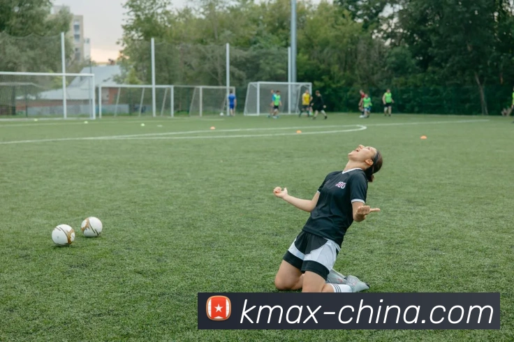mksports体育平台生态图
