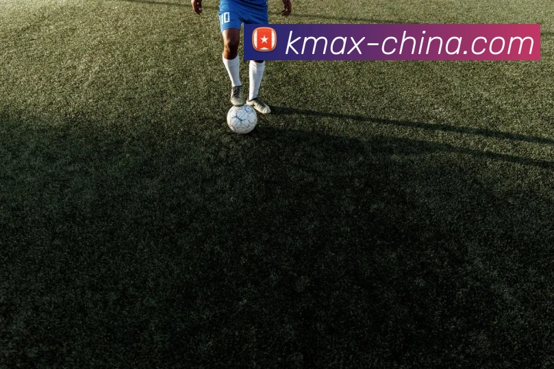 奇异果网页版服务体系